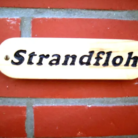 Strandfloh In Hornum