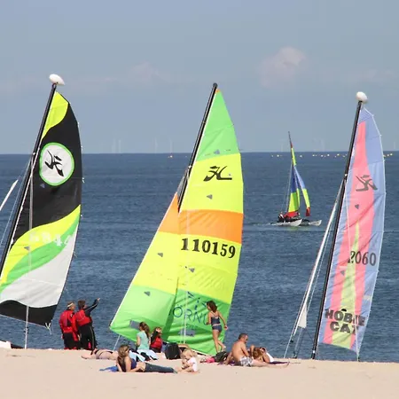 Strandfloh In Hörnum